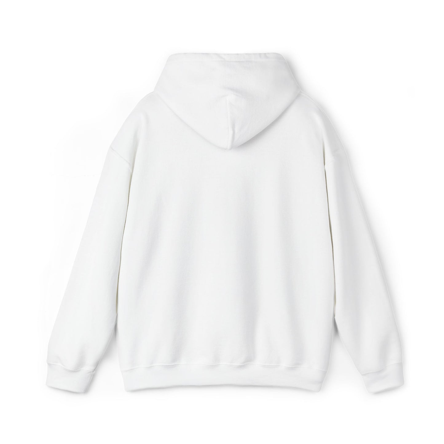 856 STREET UNISEX HOODED SWEATSHIRT (EMBROIDERY)